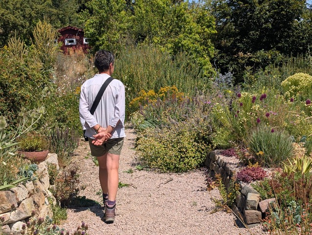 Claudia im Schaugarten Nachtigallenhof Wallertheim